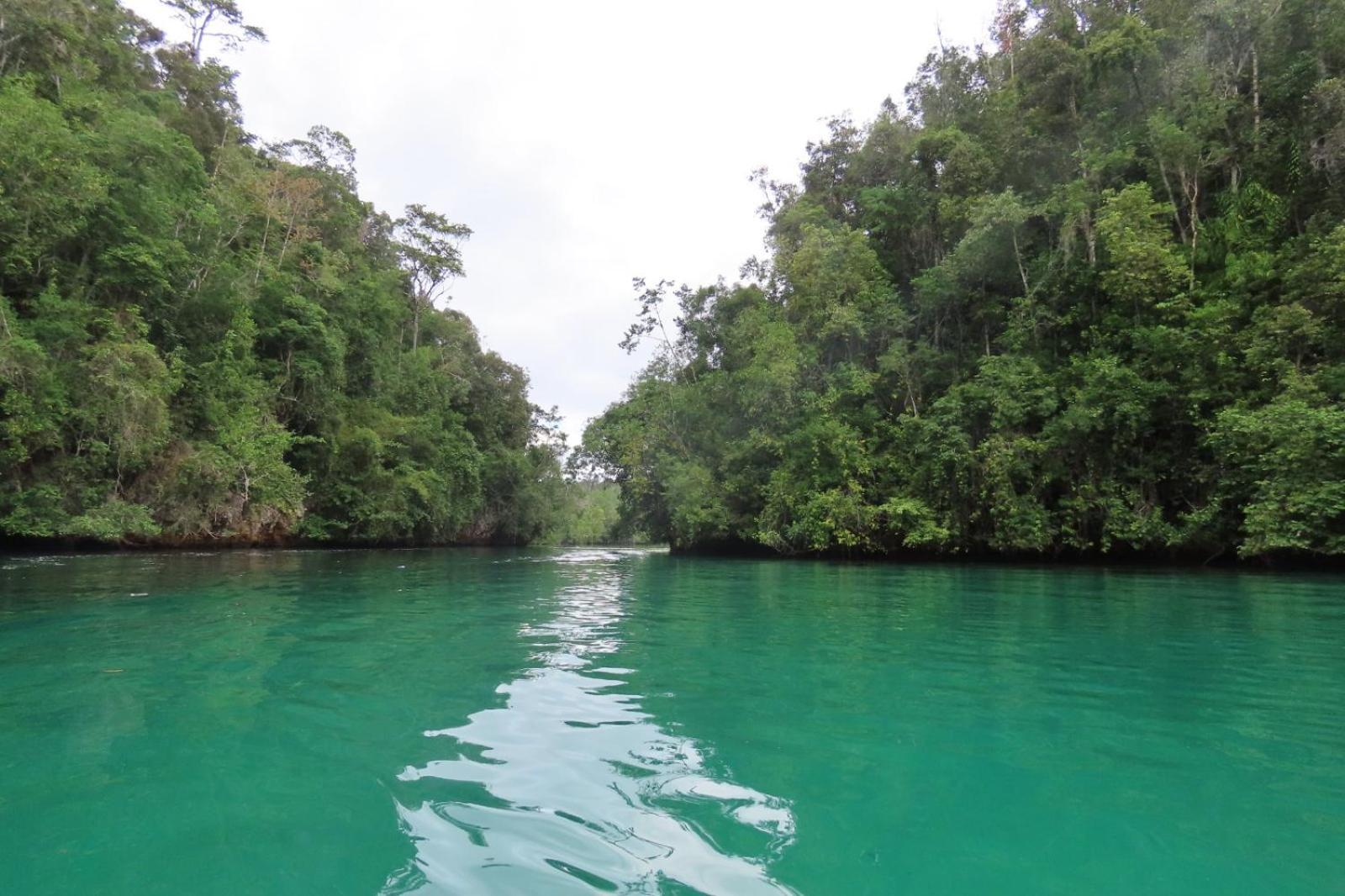 Nyanse Homestay - Raja Ampat Besir Екстер'єр фото